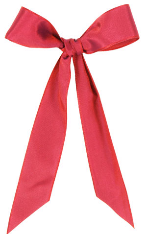 how to tie a bow present